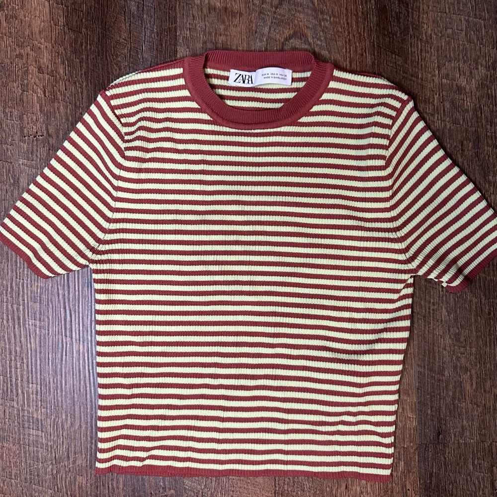 Zara cropped striped tee brown and green